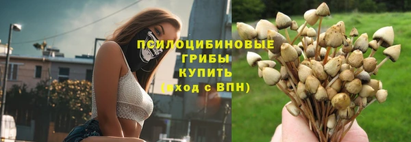 синтетический гашиш Богданович