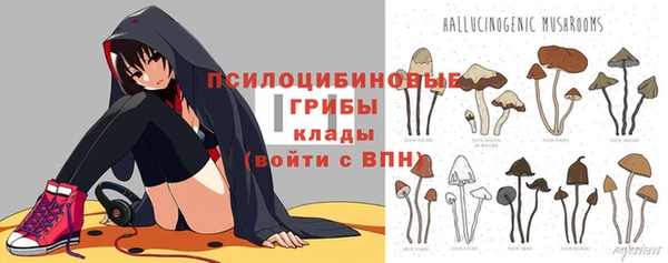 прущие грибы Богородицк