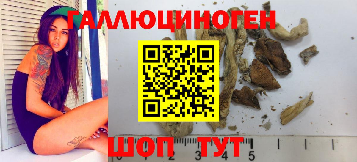 Псилоцибиновые грибы мицелий Луховицы